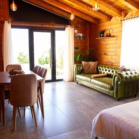 Grand Golan Cabins Buq'ata エクステリア 写真