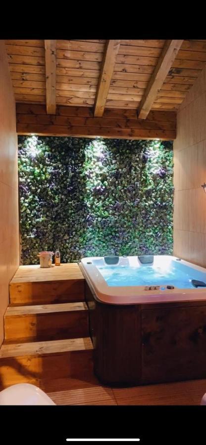 Grand Golan Cabins Buq'ata エクステリア 写真